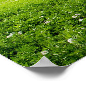 美しい青空と緑のフィールド ポスター (角)