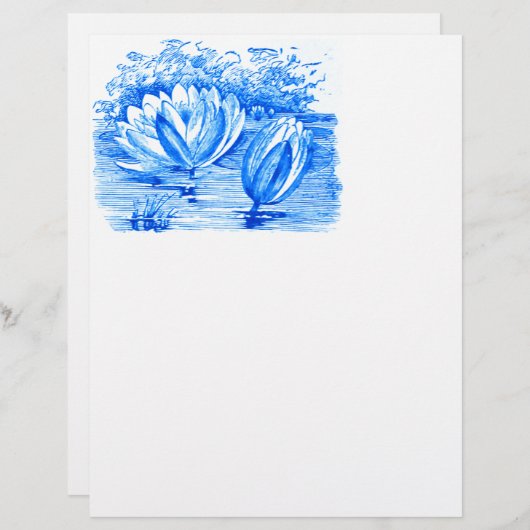 美しい青蓮の花 (正面/裏面)