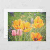 美しい静物生活のよう絵画に ポストカード (正面/裏面)