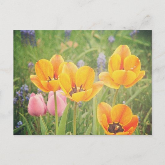 美しい静物生活のよう絵画に ポストカード (正面)