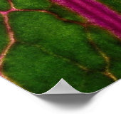 美しい非常に赤と緑の葉のパターンcabba ポスター (角)