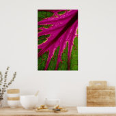 美しい非常に赤と緑の葉のパターンcabba ポスター (キッチン)