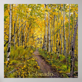 美しい風光明媚な秋のトレイルの《植物》アスペンツリーグローブ ポスター