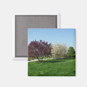 美しい風景と木々 マグネット (正面/裏面)