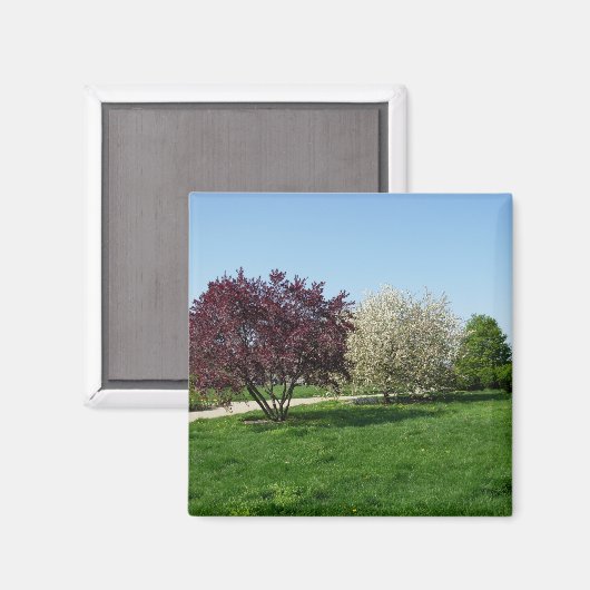 美しい風景と木 マグネット (正面/裏面)