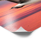 美しい飛行のカモメ フォトプリント            (角)