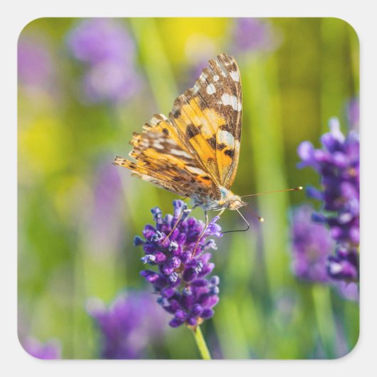美しい食べ物を与え蝶のステッカーセット スクエアシール (正面)