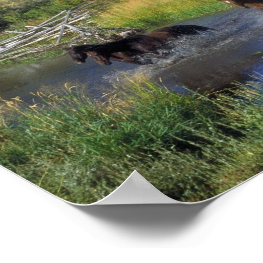 美しい馬が渓流を渡る ポスター (角)