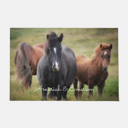 美しい馬が牧草地で放牧カスタム ドアマット (正面)