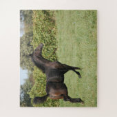 美しい馬が畑に突き出る ジグソーパズル (縦)