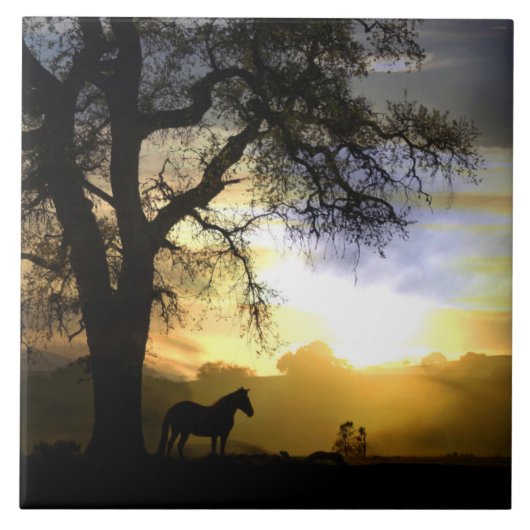 美しい馬とオークツリーアートタイル タイル (正面)