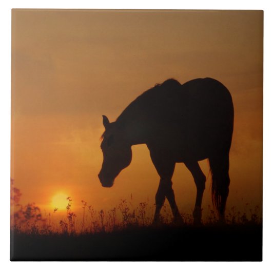 美しい馬と南西の夕日 タイル (正面)