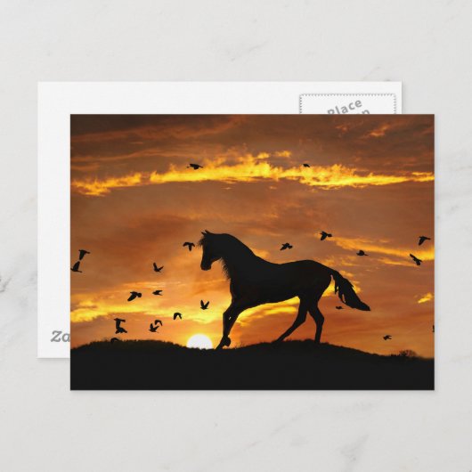 美しい馬と夕焼け ポストカード (正面/裏面)
