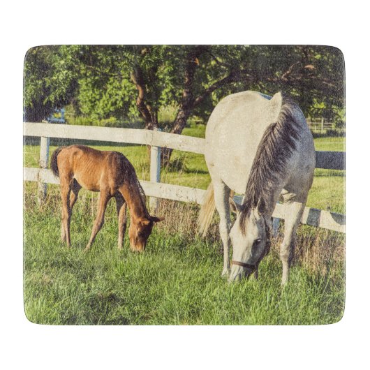 美しい馬と子馬のファームハウス カッティングボード (正面)
