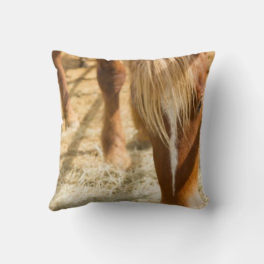 美しい馬と感動的引用文 クッション (裏面)