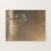 美しい馬と日光 ジグソーパズル (横)