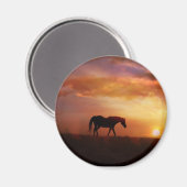 美しい馬と日没の馬の写真のマグネ マグネット (正面/裏面)