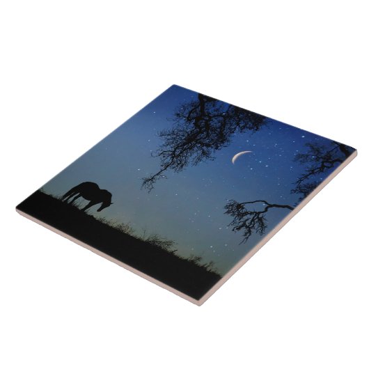 美しい馬と月 タイル (側面)