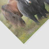 美しい馬と納素朴屋 薄葉紙 (詳細)