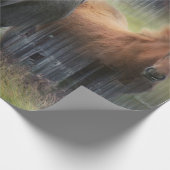 美しい馬と素朴納屋 ラッピングペーパー (角)