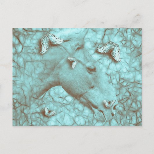美しい馬と蝶の横絵はがき ポストカード (正面)