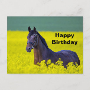美しい馬と黄色い花の写真 誕生日 ポストカード