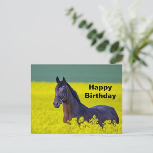 美しい馬と黄色の花の写真 誕生日 ポストカード (スタンド正面)