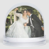 美しい馬にフォトドームを追加 (正面)