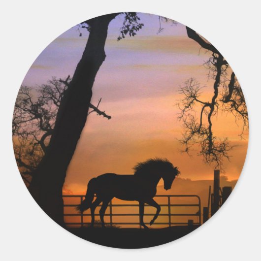 美しい馬のステッカー ラウンドシール (正面)