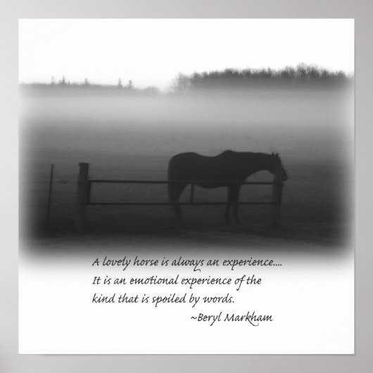 美しい馬のポスター ポスター (正面)