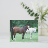 美しい馬のポストカード ポストカード (スタンド正面)