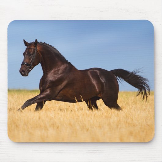 美しい馬のマウスマット マウスパッド (正面)