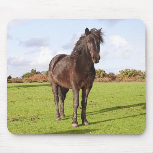 美しい馬のマウスマット マウスパッド (正面)