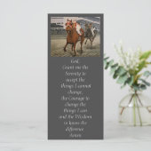 美しい馬の持ち主がレースにクラシック参加 (スタンド正面)