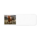 美しい馬の持ち主がレースにクラシック参加 ラベル (正面)