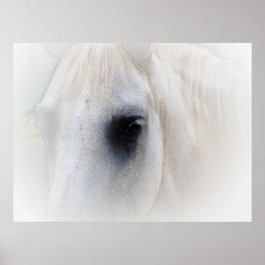 美しい馬の目 ポスター (正面)