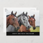 美しい馬の誕生日 ポストカード (正面/裏面)