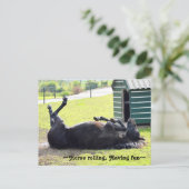 美しい馬の転がるポストカード ポストカード (スタンド正面)