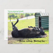 美しい馬の転がるポストカード ポストカード (正面/裏面)
