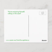 美しい馬の転がるポストカード ポストカード (裏面)