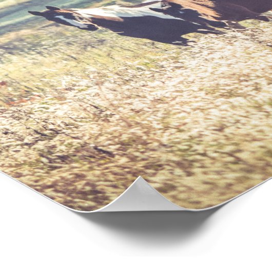 美しい馬の農場の動物 ポスター (角)