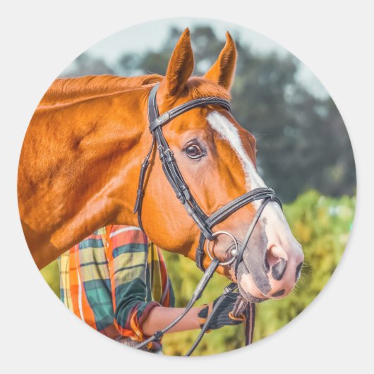 美しい馬の頭の写真クローズアップ ラウンドシール (正面)