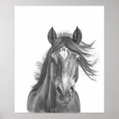 美しい馬の頭部の肖像画　黒白 ポスター (正面)