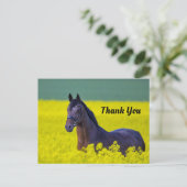 美しい馬の黄色い花写真ありがとう ポストカード (スタンド正面)