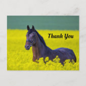 美しい馬の黄色い花写真ありがとう ポストカード (正面)