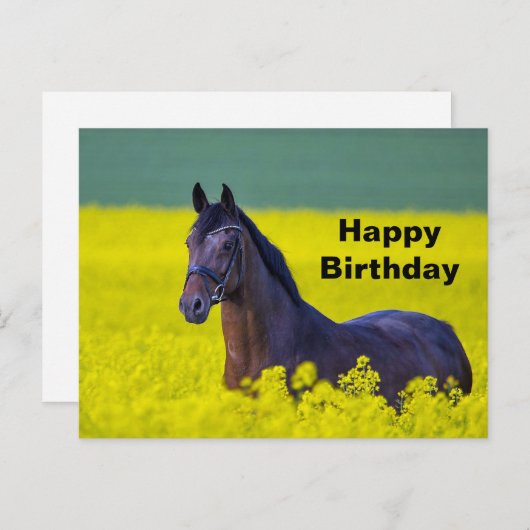 美しい馬の黄色の花写真誕生日 ポストカード (正面/裏面)