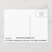 美しい馬はがき ポストカード (裏面)