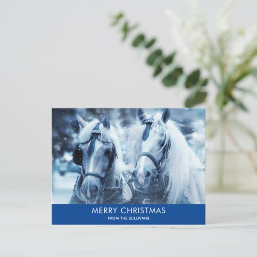 美しい馬チーム冬の写真クリスマス シーズンポストカード (スタンド正面)