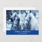 美しい馬チーム冬の写真クリスマス シーズンポストカード (正面/裏面)