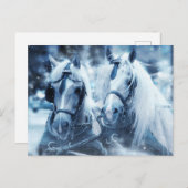 美しい馬チーム冬の写真 ポストカード (正面/裏面)